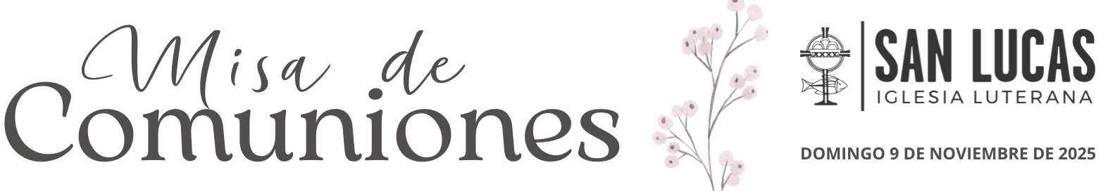 DOMINGO 9 DE NOVIEMBRE DE 2025