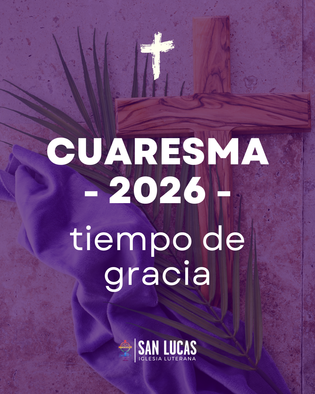 SAN LUCAS 2026 (10)